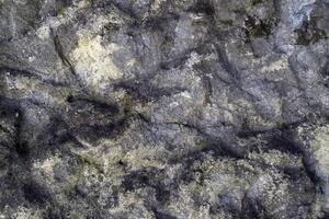 Old grunge concrete texture. Aged concrete background. photo