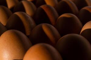 Egg background. Brown eggs in a tray. Protein food. Eco organic. Minimalism concept. photo