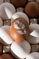huevo antecedentes. blanco y marrón huevos en un bandeja. proteína alimento. eco orgánico. foto