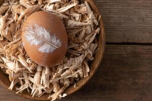 huevo antecedentes. marrón huevos en un bandeja. proteína alimento. eco orgánico. minimalismo concepto. foto