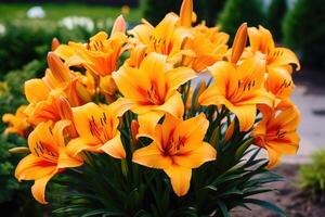 ai generado brillantemente naranja lirio flores hermosa flores con naranja pétalos foto