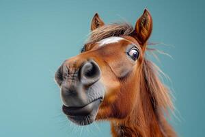 ai generado un curioso caballo mirando arriba a el cámara foto