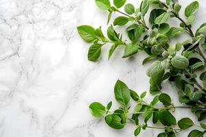 AI generated fresh herbs on marble background photo