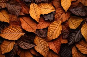 AI generated autumn leaves background photo