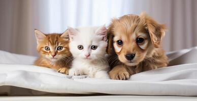 AI generated two small cats and a dog laying on top of a white cloth photo