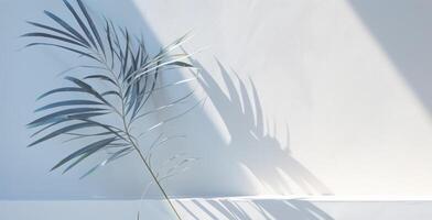 AI generated white wall with shadow of leaves and palm tree photo