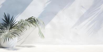 AI generated white wall with shadow of leaves and palm tree photo