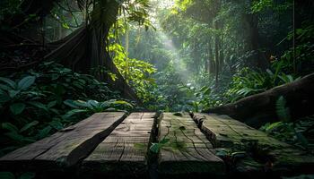 ai generado un de madera banco en el medio de un selva foto