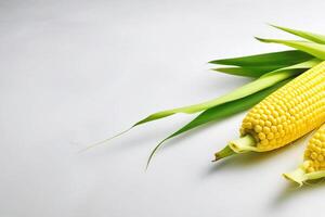 AI generated Sweet corn cobs lie on a white table. Fresh harvest. Free space for text. photo