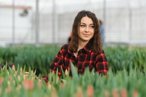 hermosa joven sonriente chica, trabajador con flores en invernadero. concepto trabajo en el invernadero, flores Copiar espacio, tulipán jardín foto