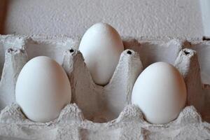 White eggs in a container box close up. photo