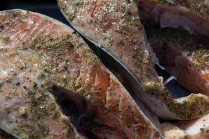 Preparation of trout in spices to roast on barbecue outdoor. photo