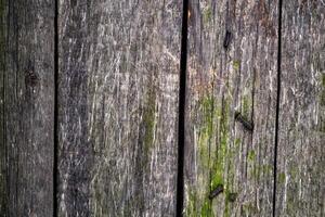 Old wooden background. photo