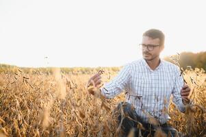 retrato de granjero en pie en haba de soja campo examinando cosecha a puesta de sol. foto