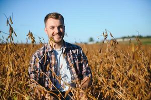 farmer agronomist in soybean field checking crops before harvest. Organic food production and cultivation. photo