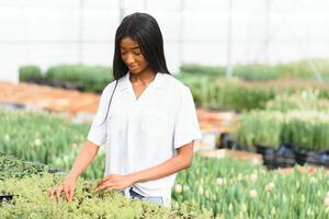 pretty young african gardener portrait in greenhouse photo