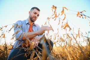 agrónomo o granjero examinando cosecha de soja campo. foto