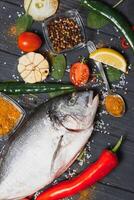 Fresh fish dorado with fragrant spices, herbs and spices on a dark background photo