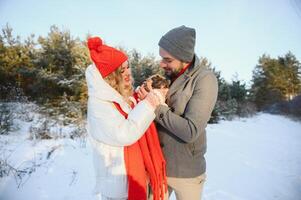 winter snow couple love story photo