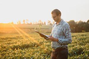 agrónomo inspeccionando soja frijol cultivos creciente en el granja campo. agricultura producción concepto. joven agrónomo examina haba de soja cosecha en campo en verano. granjero en haba de soja campo foto