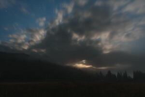 bosque en contra el antecedentes de el estrellado cielo en el cárpato montañas foto