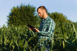 Happy young farmer or agronomist using tablet in corn field. Irrigation system in the background. Organic farming and food production photo