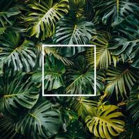 AI generated Square Frame Surrounded by Green Leaves photo