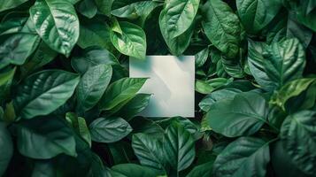 AI generated Square Paper Surrounded by Green Leaves photo