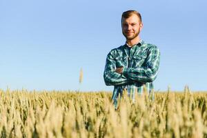 contento joven granjero o agrónomo inspeccionando trigo plantas en un campo antes de el cosecha. comprobación semilla desarrollo y mirando para parásitos con aumentador vaso. orgánico agricultura y comida producción foto