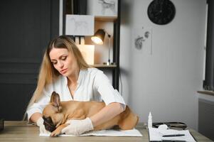 veterinario examinando linda perro en clínica foto