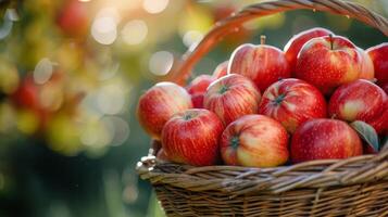 ai generado un cesta lleno con rojo manzanas foto