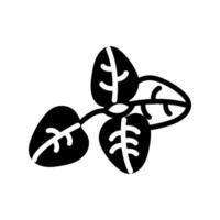 Oregano icon in vector. Logotype vector