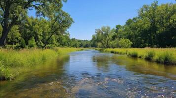 AI generated River Flowing Through Lush Green Forest photo