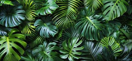 AI generated a shot of lots of tropical leaves photo