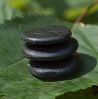 AI generated a shiatsuacupressure stone stack sitting on a green leaf photo