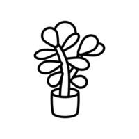 Jade Plant icon in vector. Logotype vector