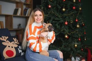 Little dog with owner playing and having fun. young teen girl sitting on the couch with her pet. Christmas tree in the background. soft selective focus photo