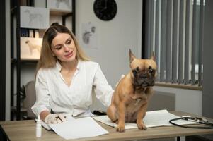 Cute calm dog sitting in vet cabinet photo