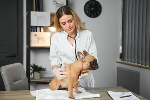 contento veterinario médico con un perro a veterinario clínica. foto