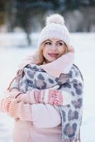 a beauty girl on the winter background photo