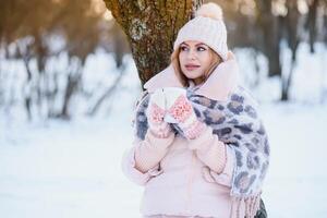 a beauty girl on the winter background photo