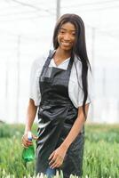 pretty young african gardener portrait in greenhouse photo