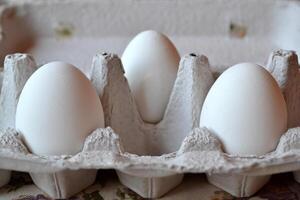 White eggs in a container box close up. photo