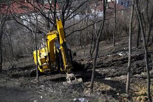 Excavator machine working in a park. photo