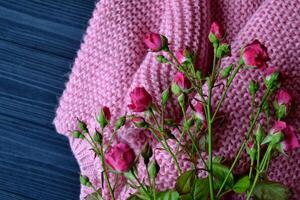 Pink roses and sweater on the table. Beautiful background for card. photo