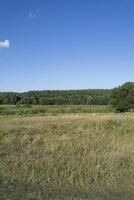 Summer field scenery landscape. photo