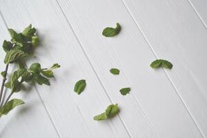 Fresh mint on the white wooden table. photo