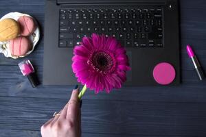 Woman holding a pink gerbera above the desktop. photo