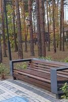 Empty bench in the coniferous forest park. photo