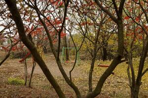 Seesaw in autumn park. Autumn landscape with empty teeter totter. photo